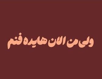 دانلود ریمیکس ولی من الان هایده فنم
